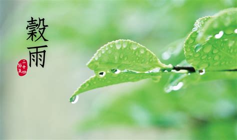 穀雨 節氣